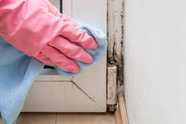 Best Mold Testing  in Appomattox, VA